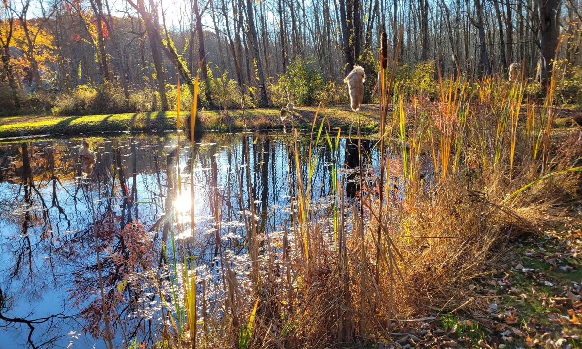 Rhinebeck Cottage | 15% off; private pond; fireplace; 4-min to village