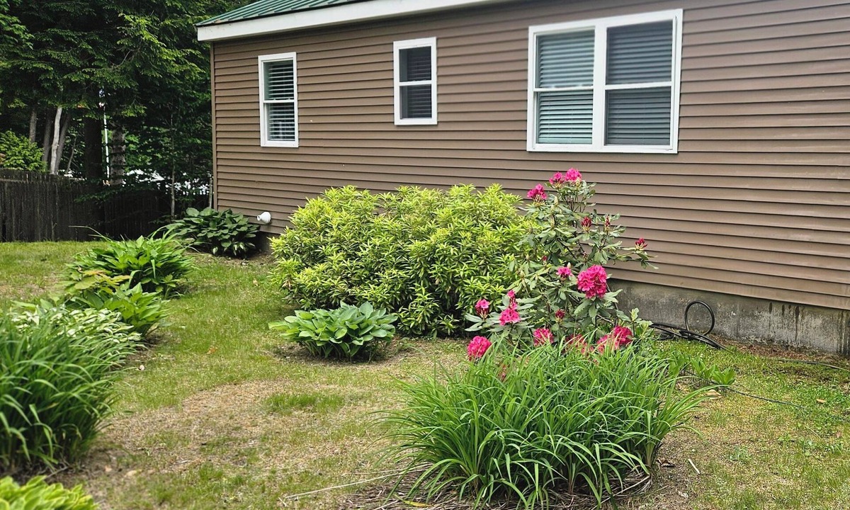 Windham Cottage | 3-bedroom cottage on Forest Lake in Windham