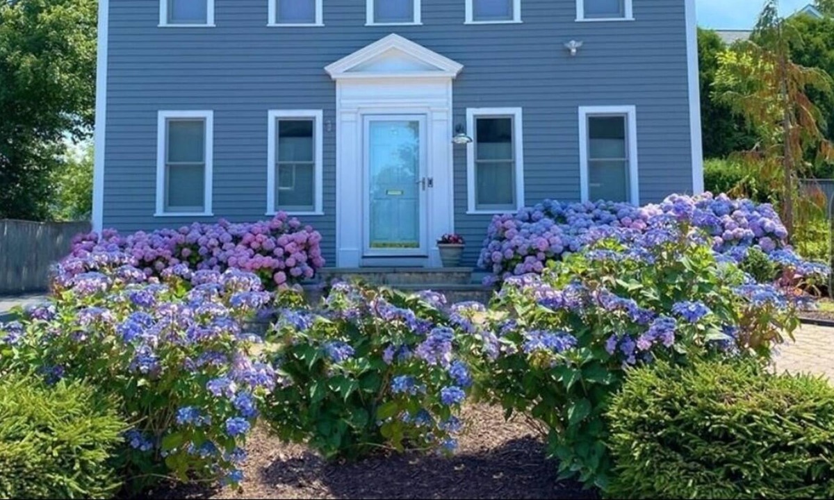 Fifth Ward House | 5th Ward! Short hop to shopping, dining & waterfront! Firepit, Hot Tub & Rooftop