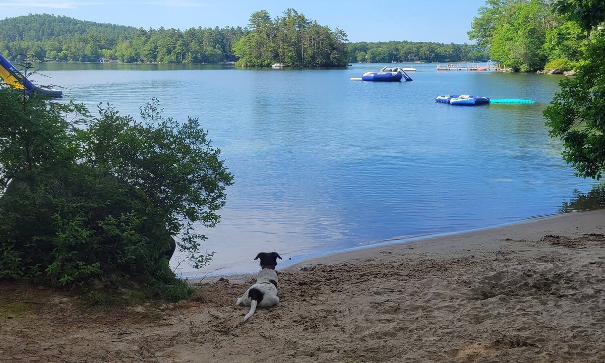 Wolfeboro Cabin | a few days left in August. price drop!