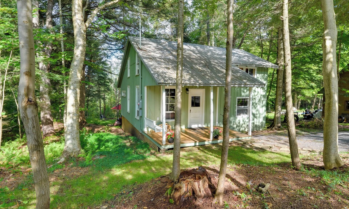 Forestport Cabin | Adirondacks Cabin w/Fire Pit on Otter Lake!
