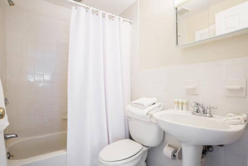 Downtown Boston Apartment | Airy, Modern 1BR downtown Boston