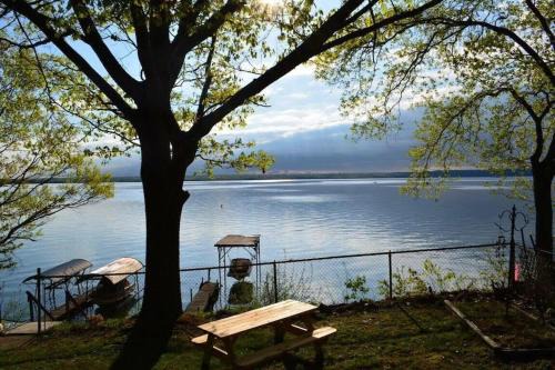Town of Torrey House | Anthony Beach - Seneca Lakefront Retreat w Covered Dock Lounge Area - Hot Tub & Fire Pit - Pets OK