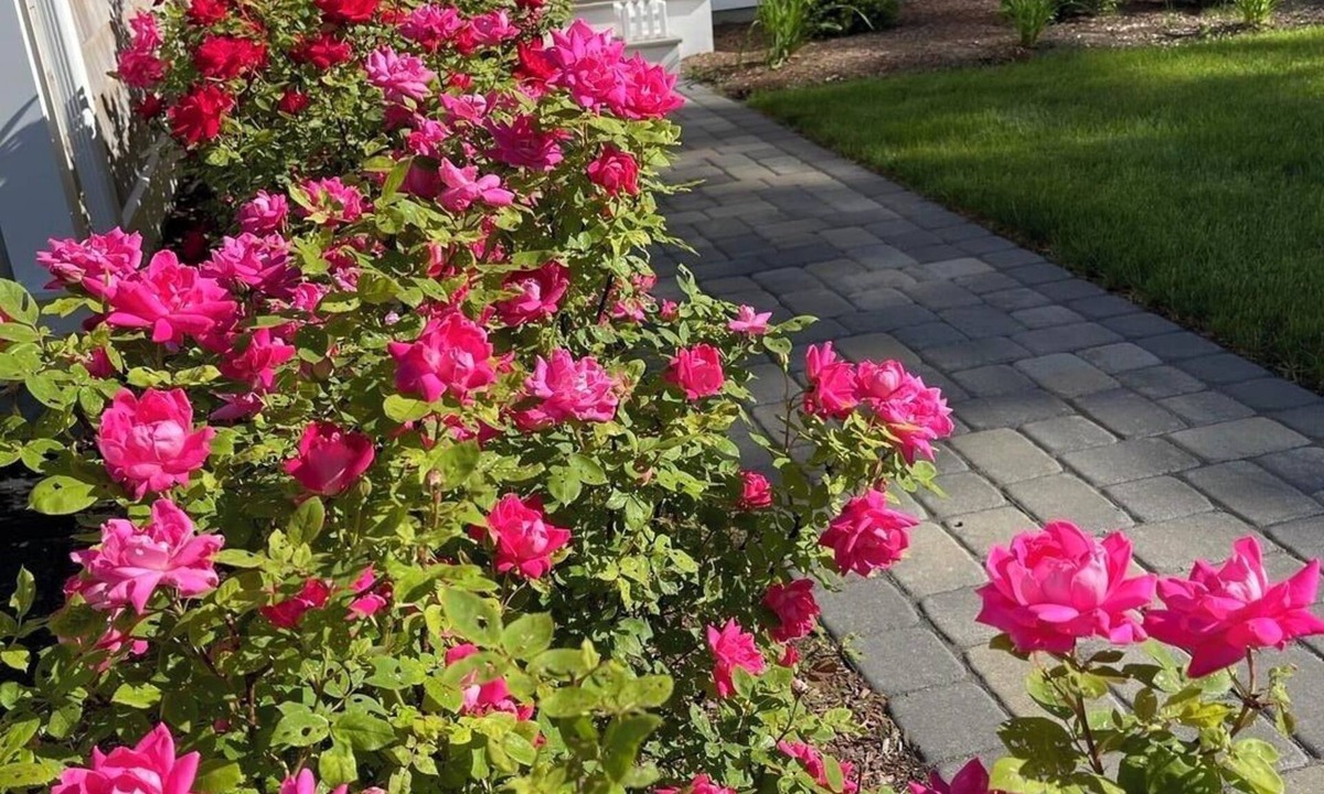 South Yarmouth House | BRAND NEW LISTING! 3BD Home-Heated Swimming Pool. Central A/C
