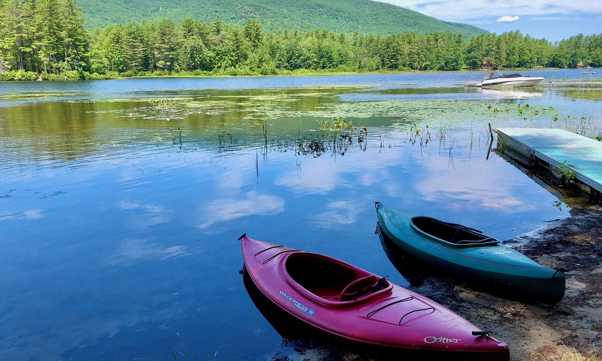 Denmark House | Charming Cabin, Lake Access! Backyard Bubbling Brook. Pets Welcome!