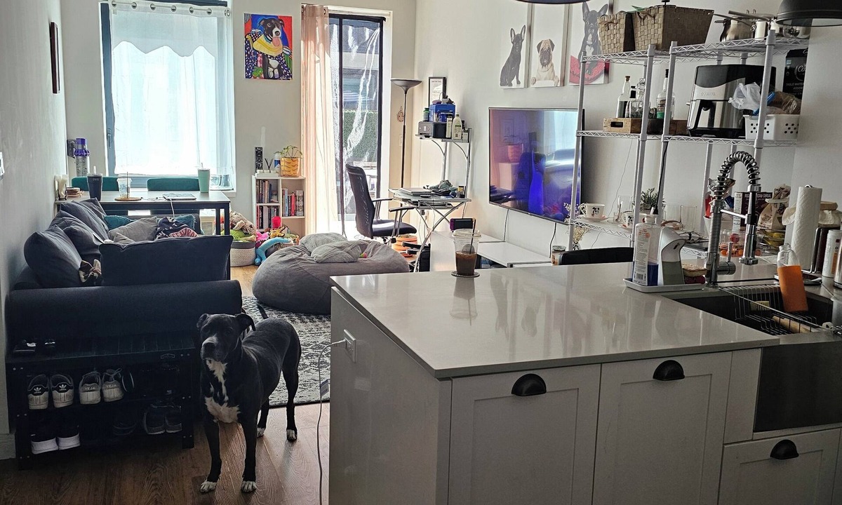 Crown Heights Apartment | Chic 1-bedroom apt with HUGE terrace in vibrant Brooklyn, 15min to Prospect Park