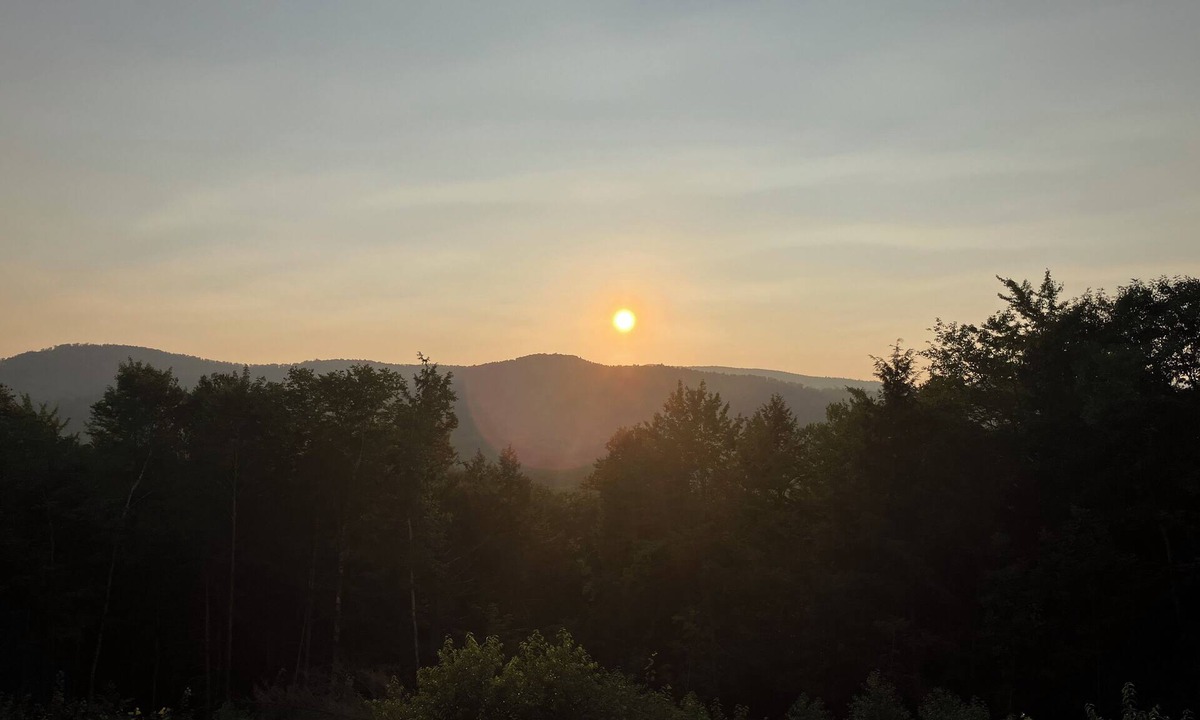 Campton Hollow Cabin | Cozy 3-bedroom cabin in lovely Campton with AC, WiFi