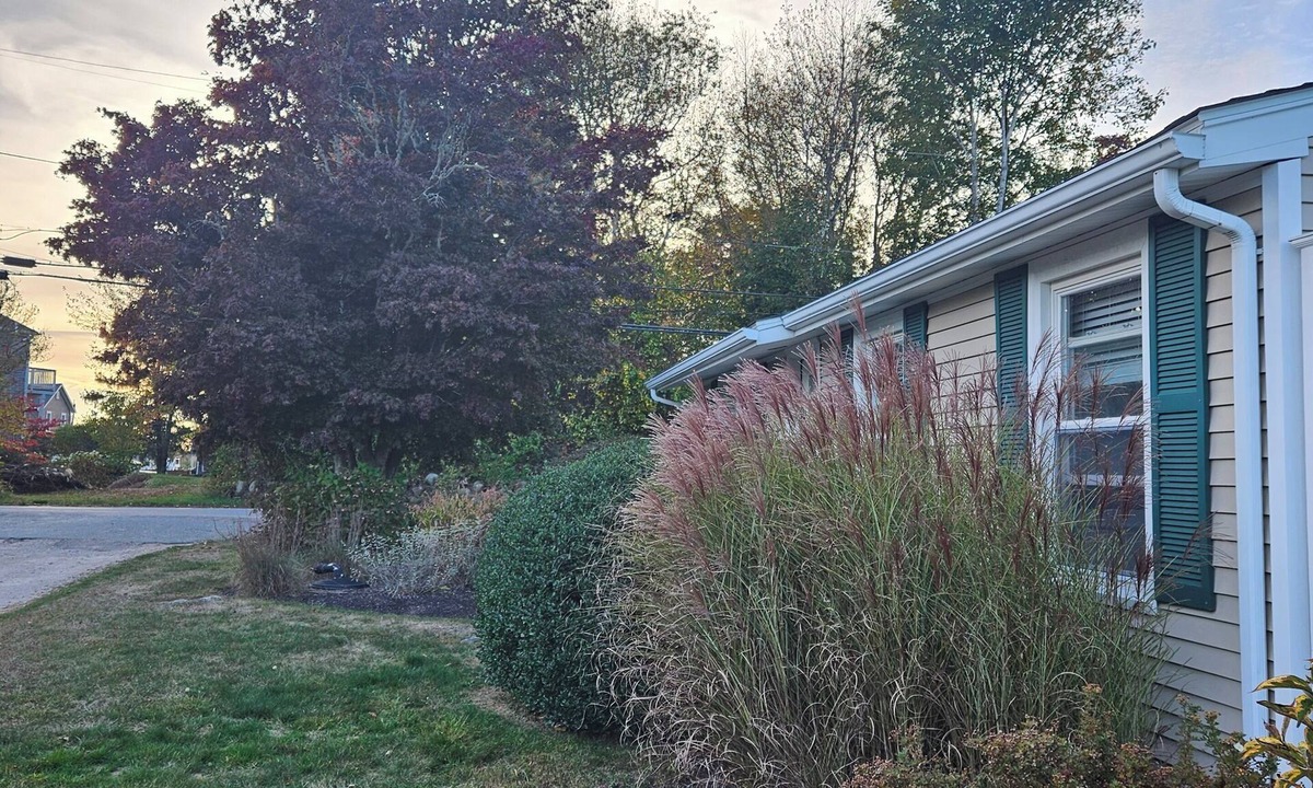 Charlestown Cottage | Cozy 3 Bedroom Cottage in Charlestown