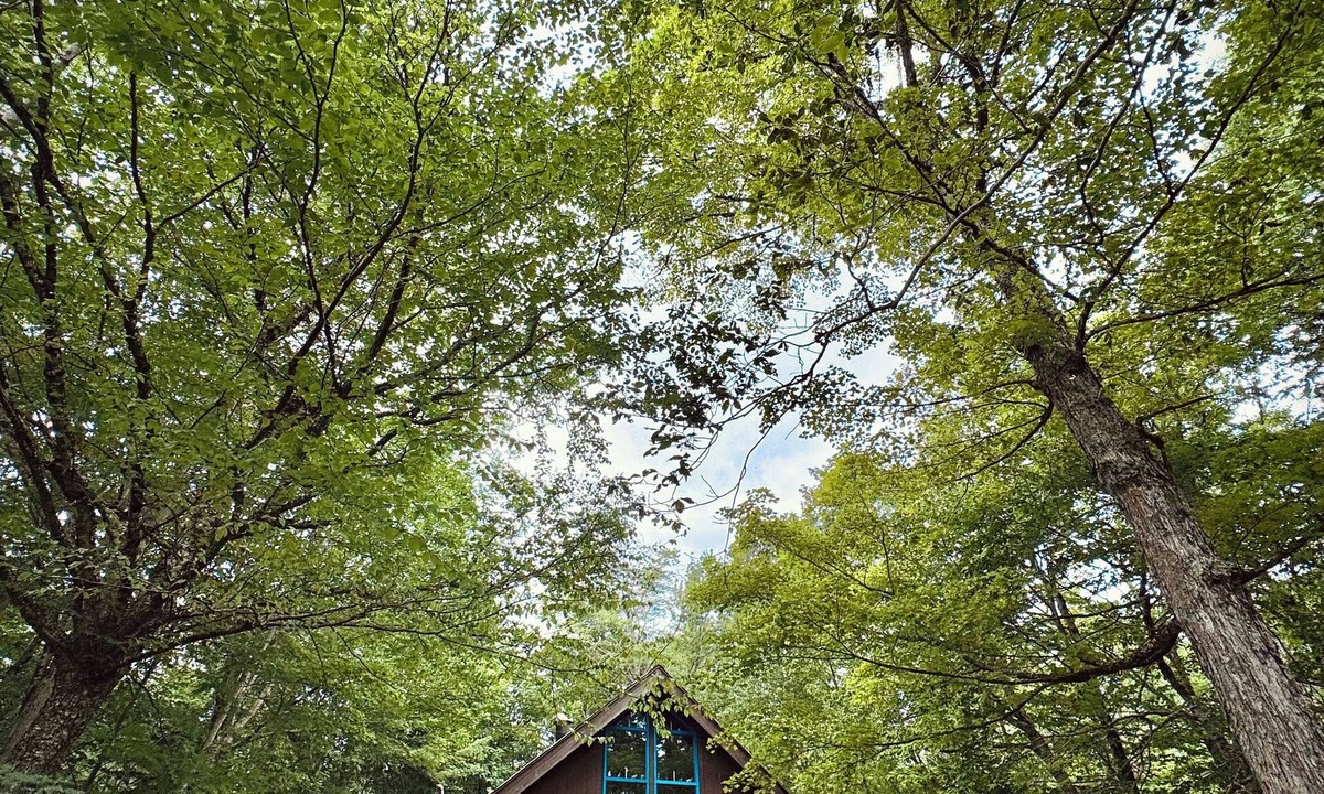 Wilmington Ski Chalet | Cozy Vermont Chalet- Nature, Comfort & Adventure.Snuggled on top of Chimney Hill