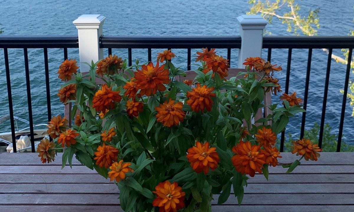Alton House | Cozy Winnipesaukee private direct waterfront home!