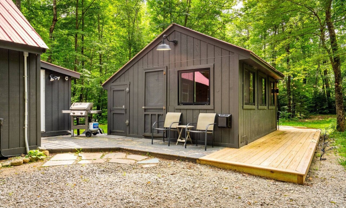 Albany Cabin | Dog Friendly | Hot Tub | Sauna | 10 Min to Conway