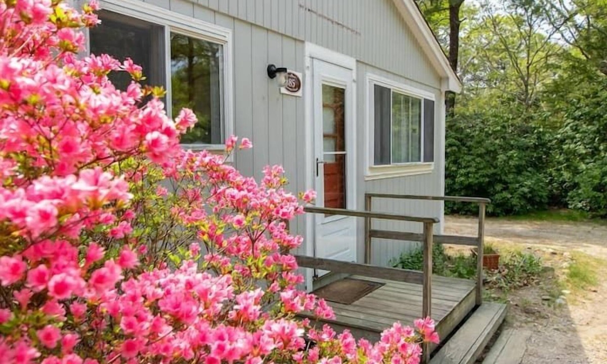 North Eastham Cottage | Driftwood Cottages - 85 - Lobster