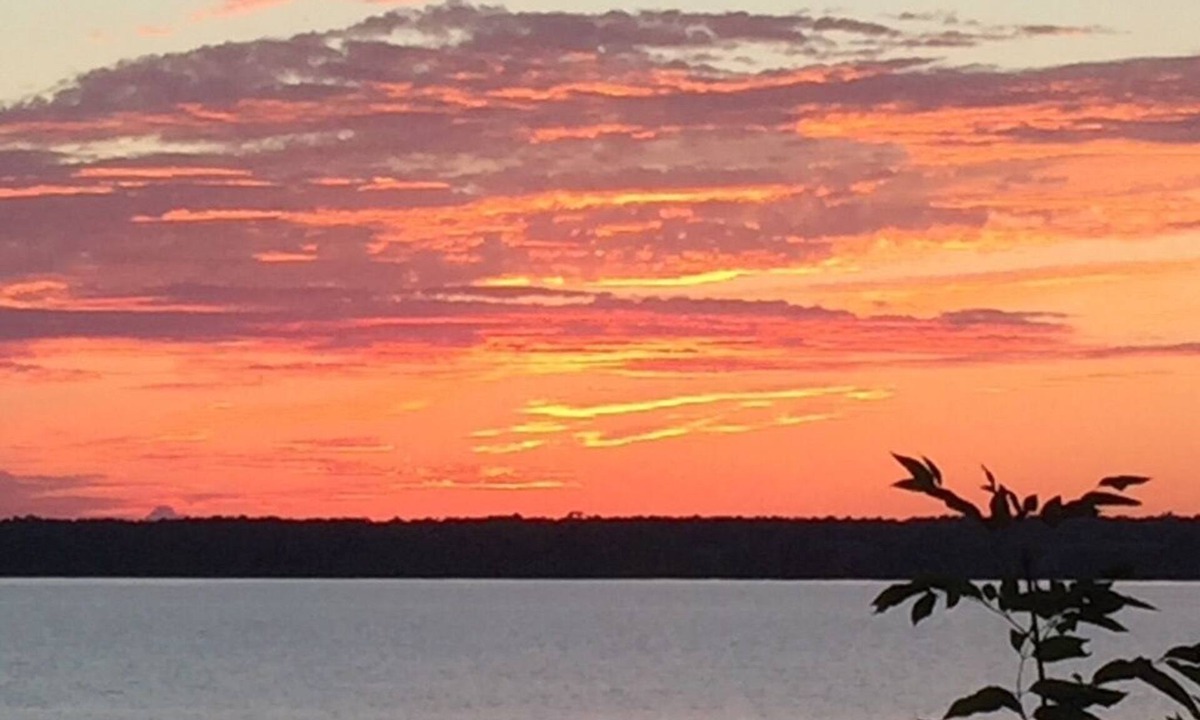 Bongard House | Enjoy the Summertime Beaches, Concerts and Events in Prince Edward County!