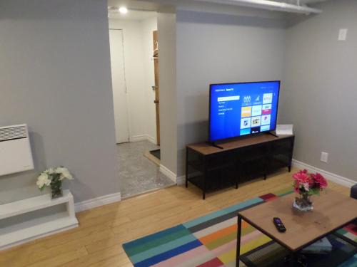 Centretown Apartment | Fantastic and Modern Downtown 1-Bed Basement Apt., parking Wi-Fi and Netflix included