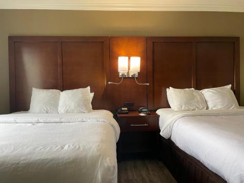 Forest Park Hotel | Forestpark Suites