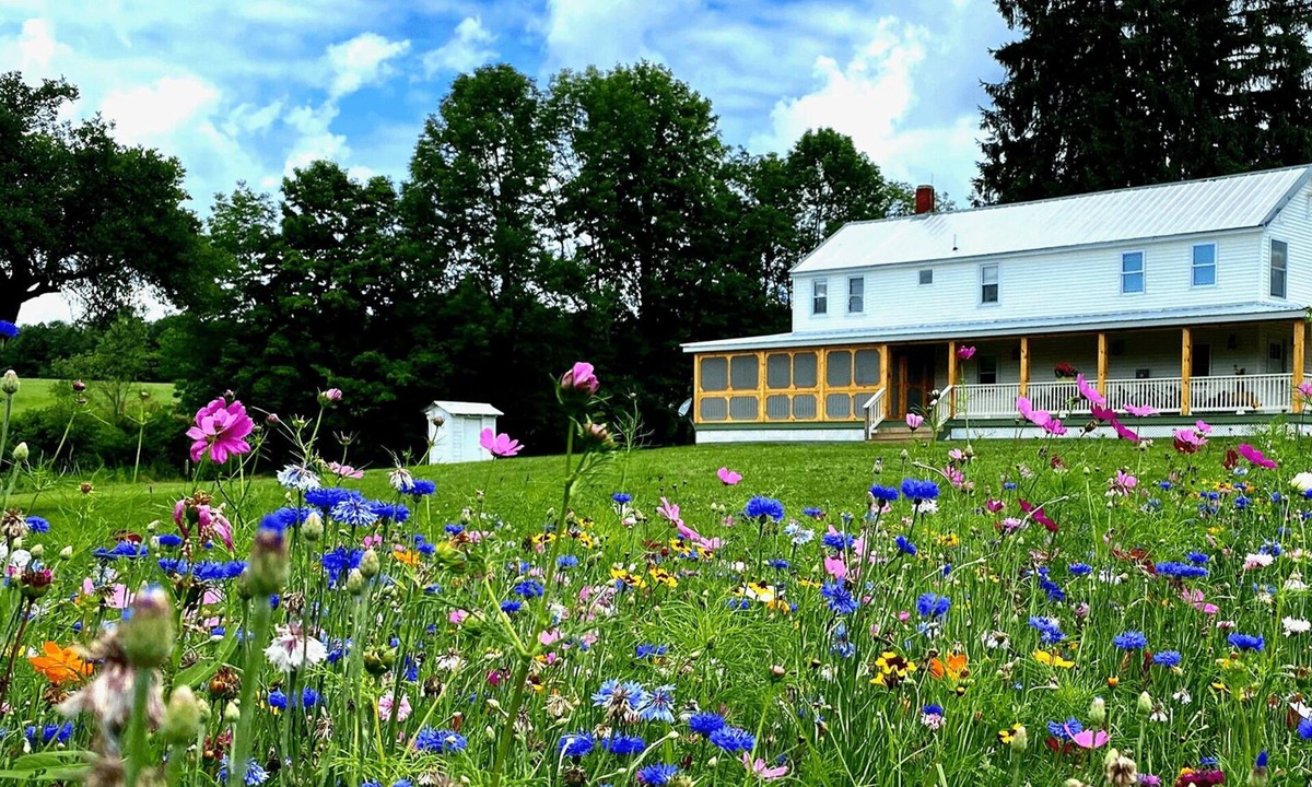 Fishs Eddy House | French Woods Farmhouse: Catskills | 12 Acres | Private Pond | Hot Tub | Firepit