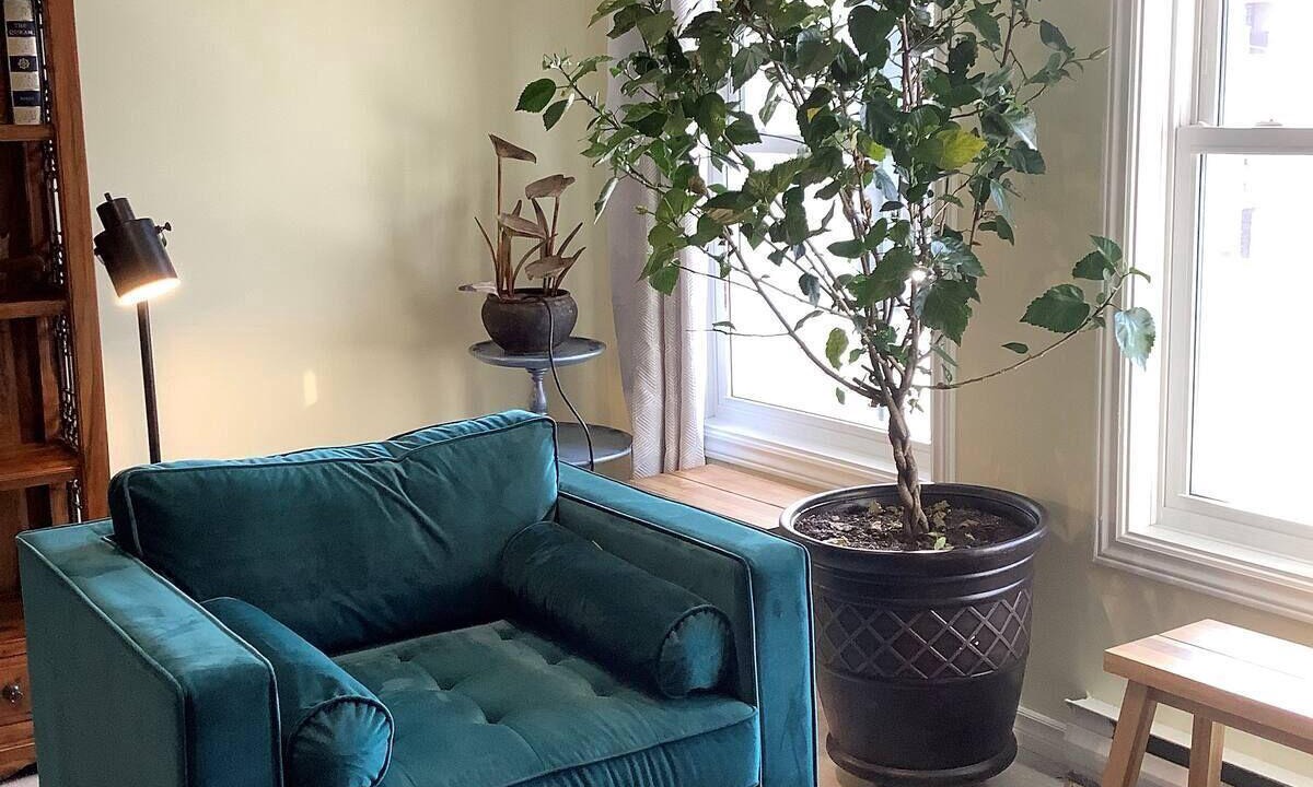 Industrial Park Condo | Green Blossoming, Sunny, Newly Renovated, Condo