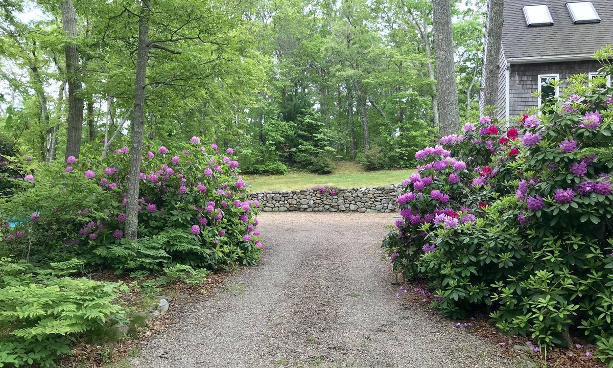 Tisbury House | In the Woods/Walk to Town: Shared house w/1 other guest room