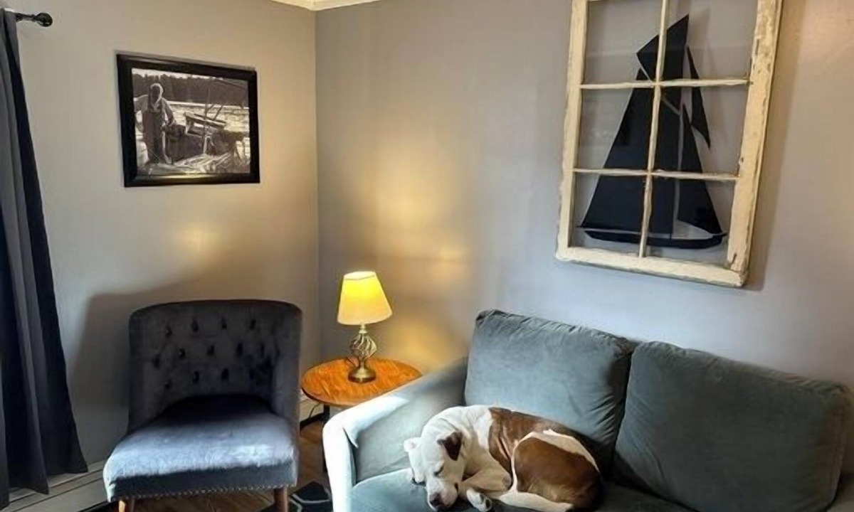 West Bayside Apartment | In-town no frills 2 bedroom apt