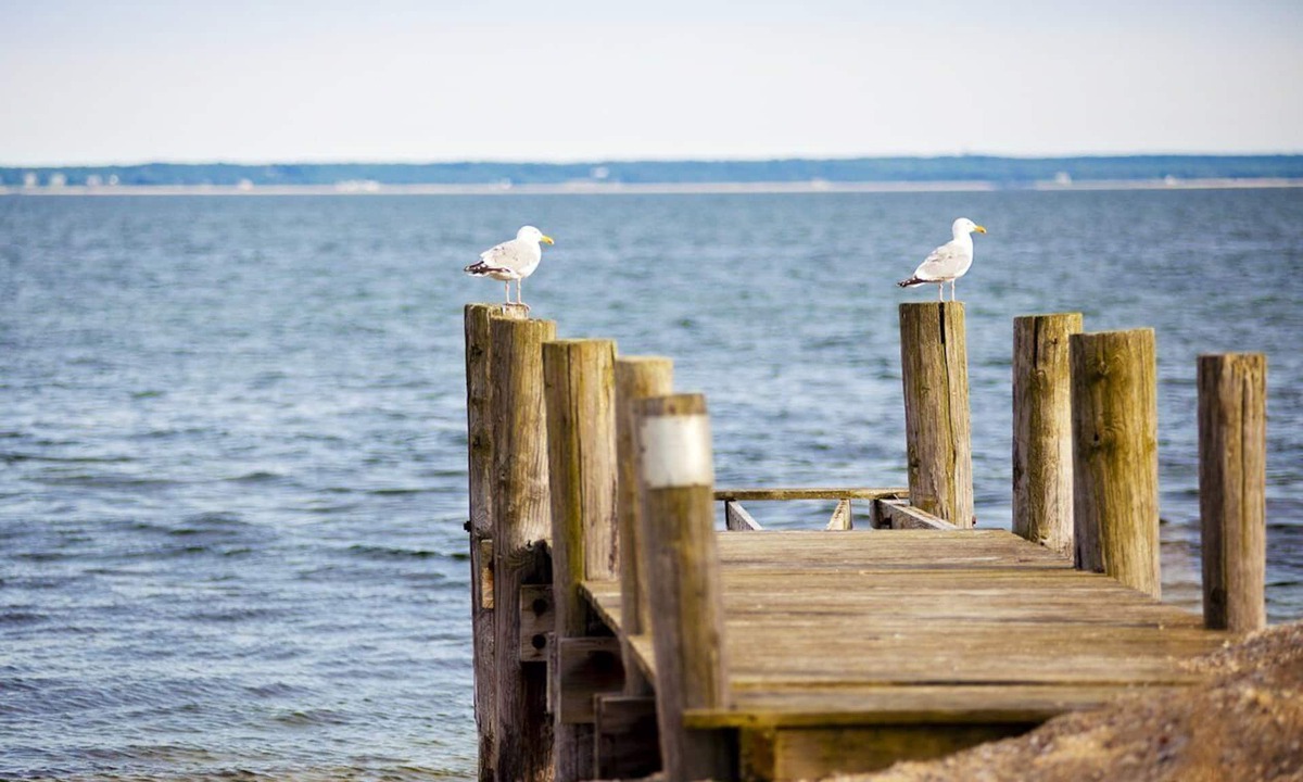 East Falmouth Resort | InnSeason Resorts Surfside - Amazing Waterfront Views & Private Beach Access!