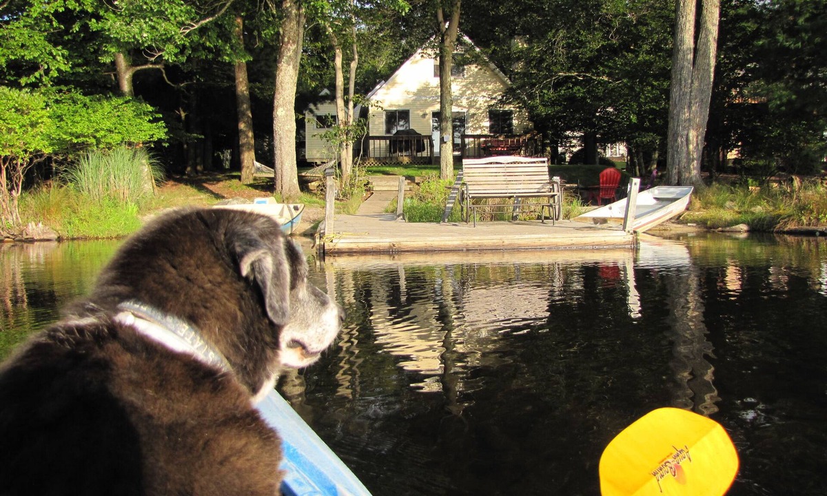 Tobyhanna Cabin | Lakefront Cabin w/Private Beach, Dock, AC, 4 Boats, Sauna