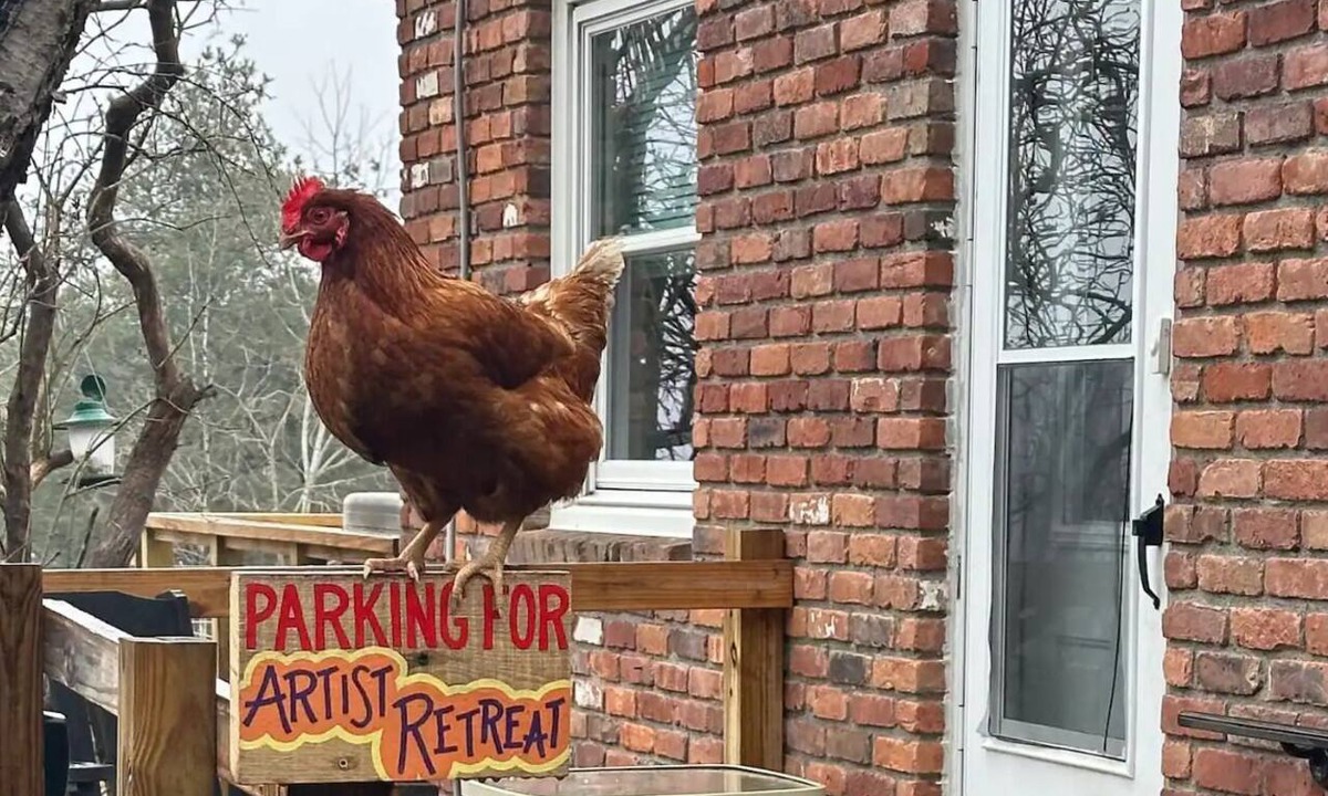 Coeymans Hollow House | Magic Forest Farm's Artist Retreat