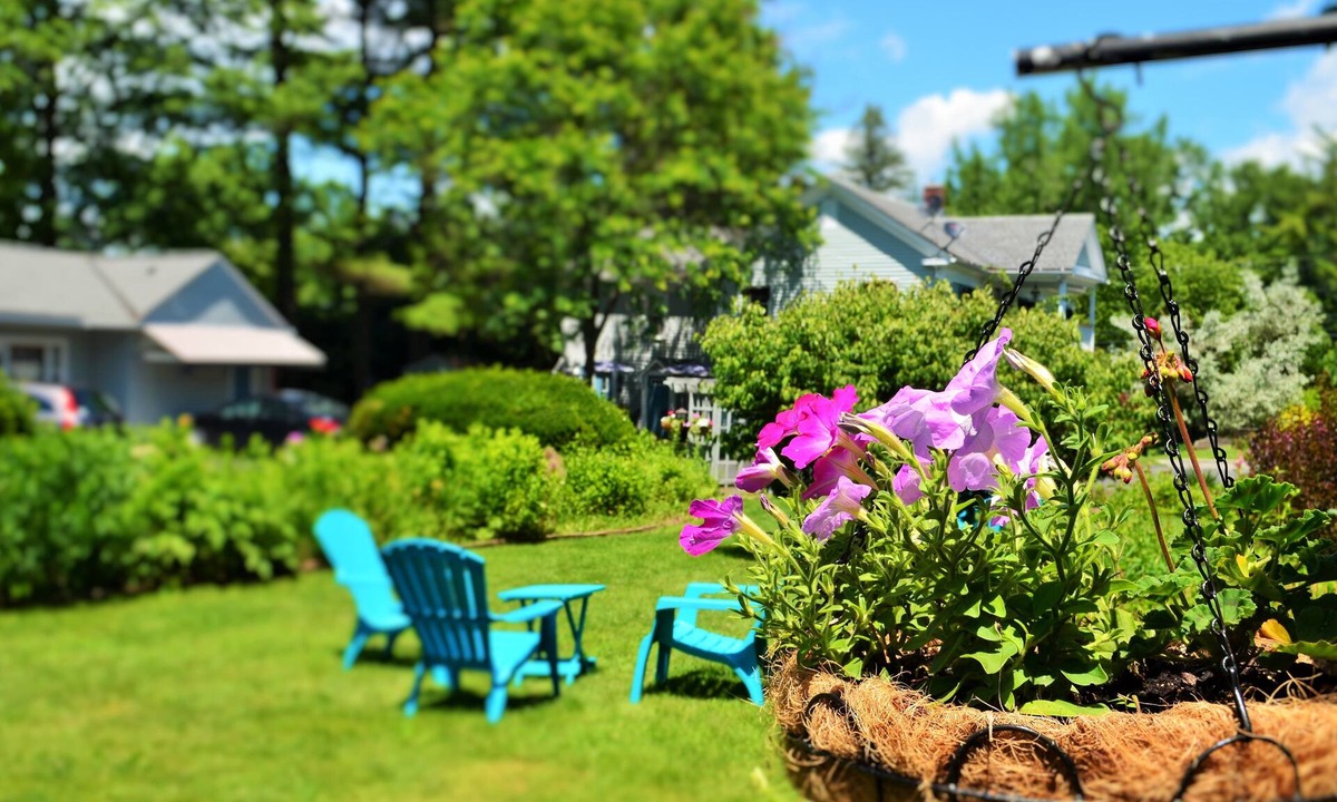 Williamstown Hotel | Maple Terrace Motel