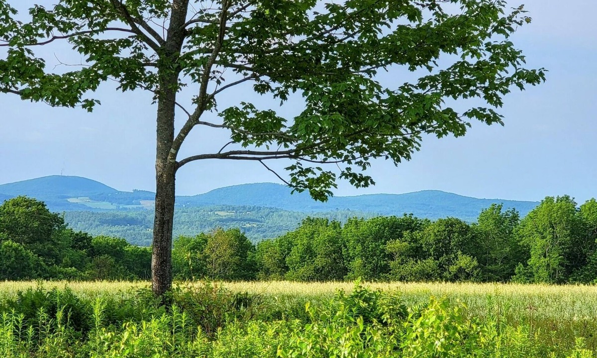 Monroe Cabin | Mason hill. Peaceful, quiet rustic 3 season camp with views.
