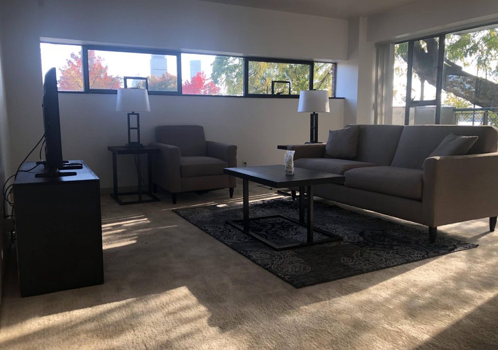 MIT Apartment | Memorial Drive 30 Day Rentals One Bedroom