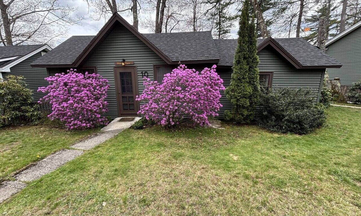 Holderness Cabin | Moose Manor- Squam Waterfront