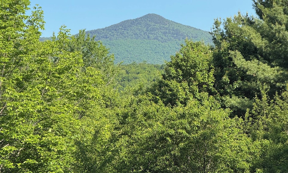 Wilmington Ski Chalet | Mountain Chalet in delightful Wilmington Vermont