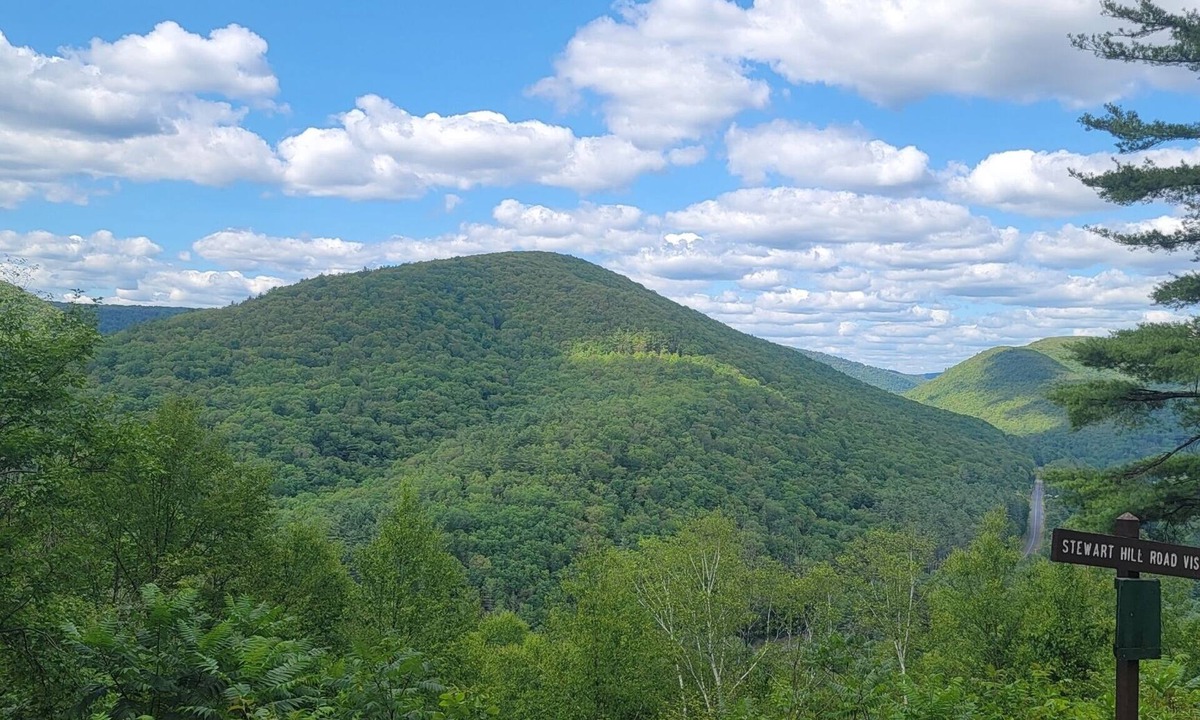 Hyner Cabin | Mountain Retreat with access to ATV Trails!