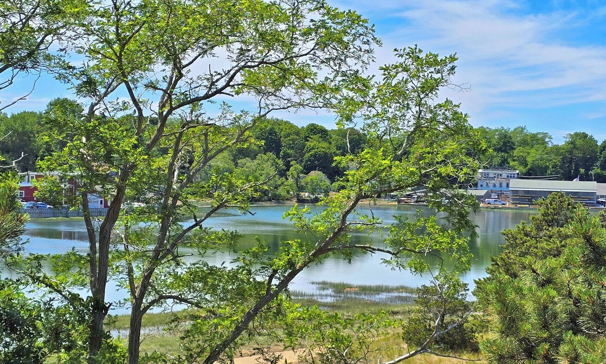 Wellfleet House | NEW LISTING! 4BD Contemporary-Duck Creek Views, 5-Min Walk to Uncle Tim's Bridge, Outdoor Shower