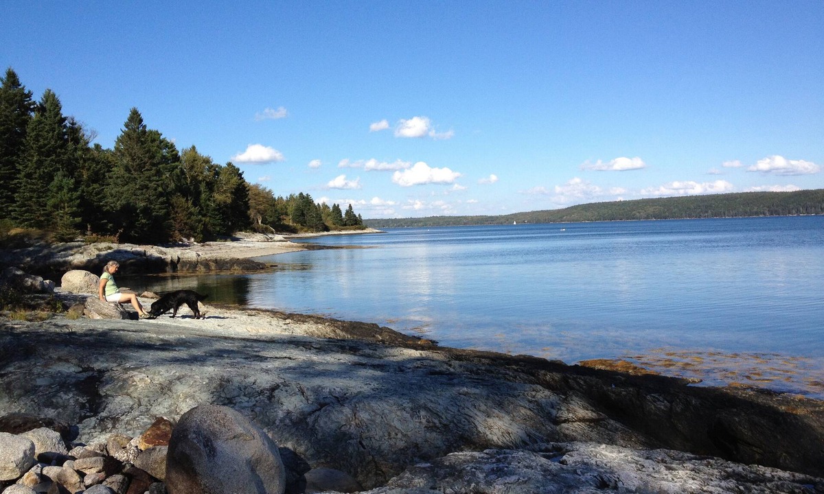 Surry Cottage | Oceanfront Cottage, Cozy & Airy. In-floor Heat. Serene. Private. Artsy.
