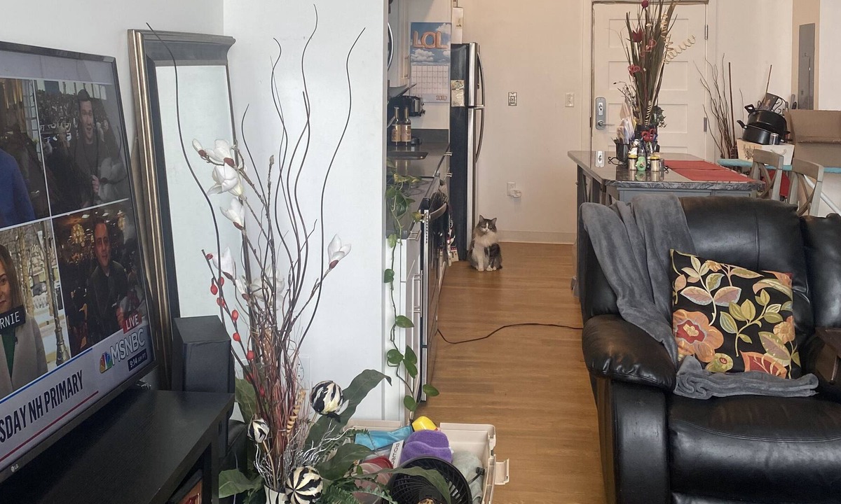 Portsmouth Apartment | Portsmouth NH Living