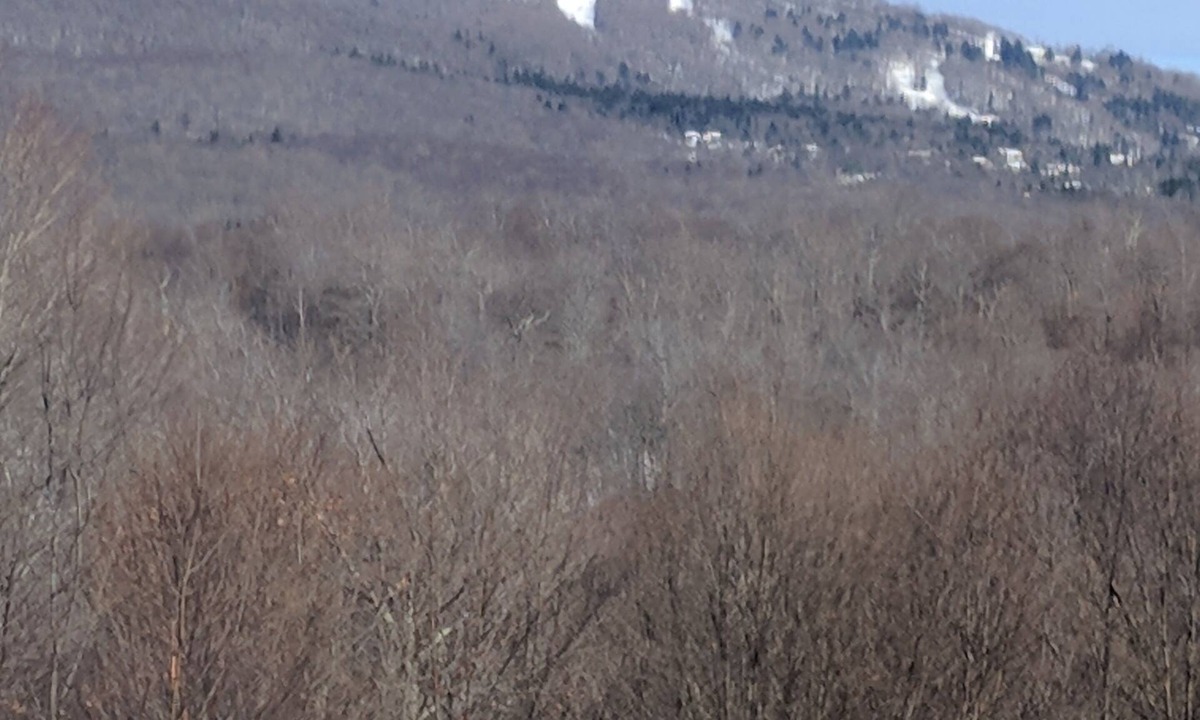 Stratton and Bromley Ski Areas House | Private Centrally Located 3 BR 2 1/2 Bath 1950Sq' Open Main Floor Space!
