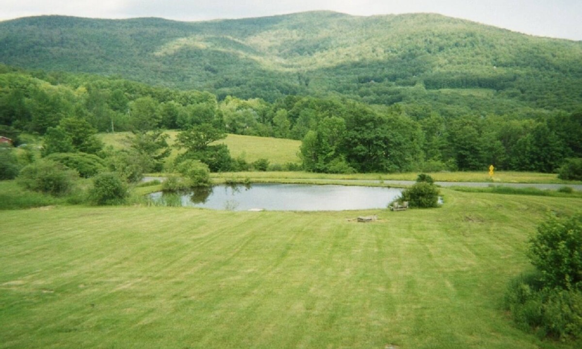 Denver House | Relax in Hot Tub Under Catskill Stars