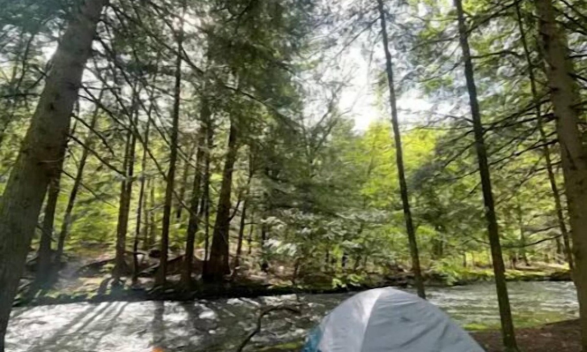 Harris RV Rental | River Camping Near Bethel Woods