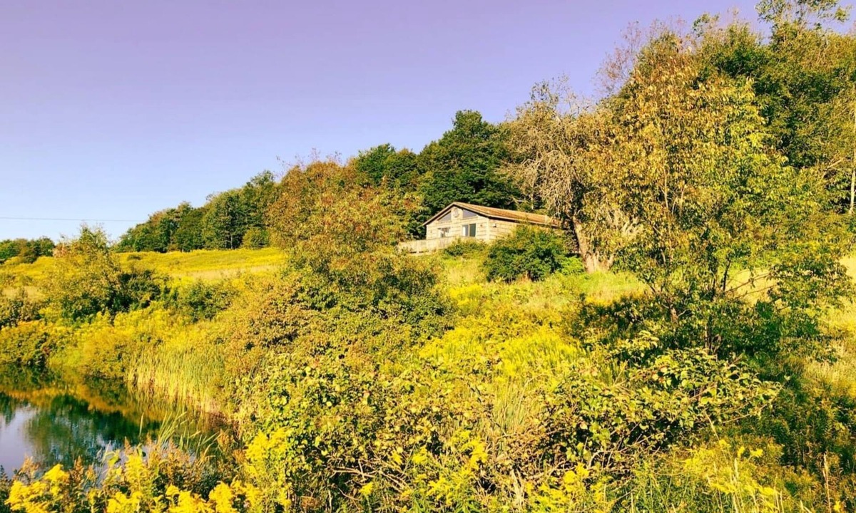 De Lancey Cabin | Rustic 4 Season Cabin Getaway with Stunning Mountain Views