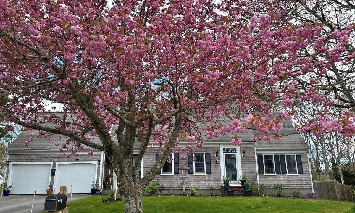 Bass River House | South Yarmouth-Walk to Beach! Large 4 Bedroom/2.5 Bath House-Central AC