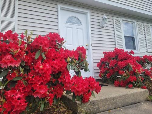 Eastward Look House | Spacious 5BR Beach House Vacation-walk to Scarborough!