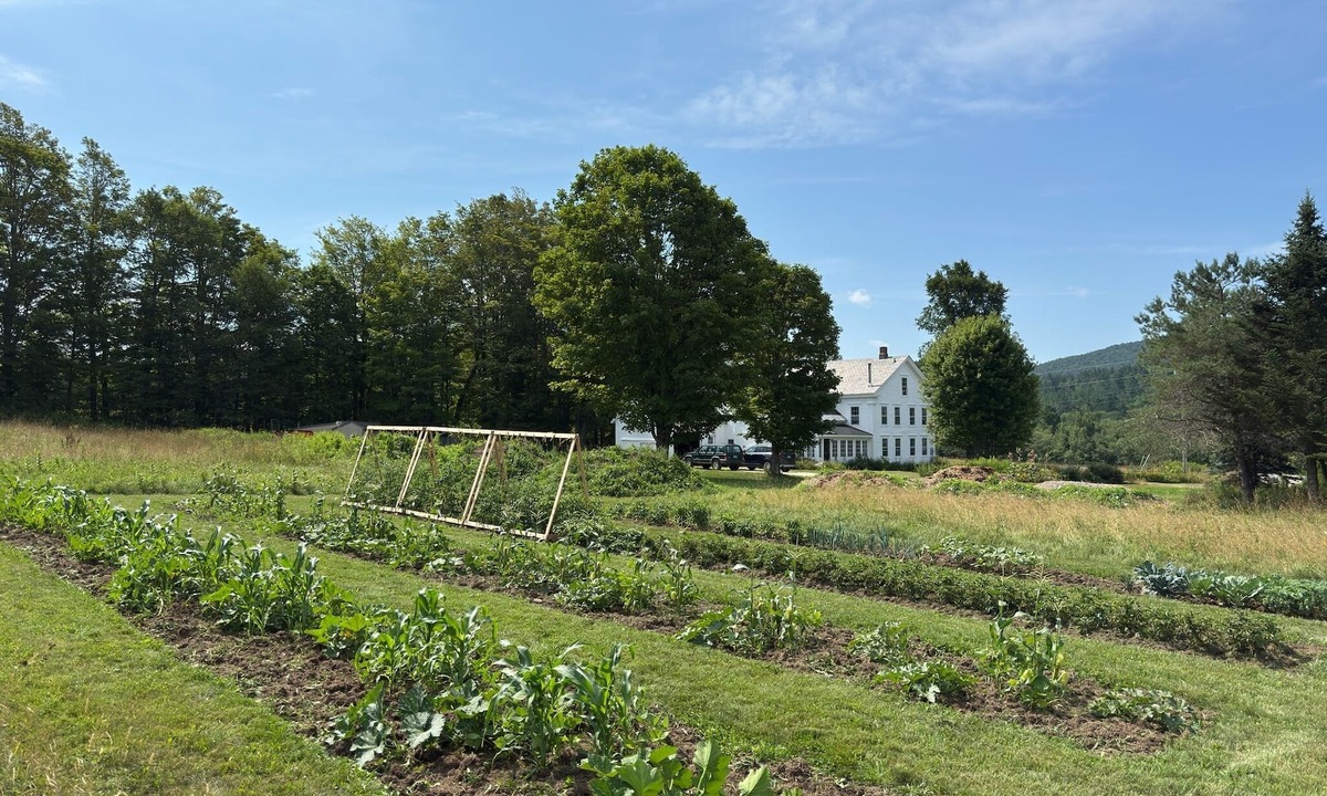 Belmont House | Spacious 6-Bedroom Farmhouse with Stunning Mountain Views