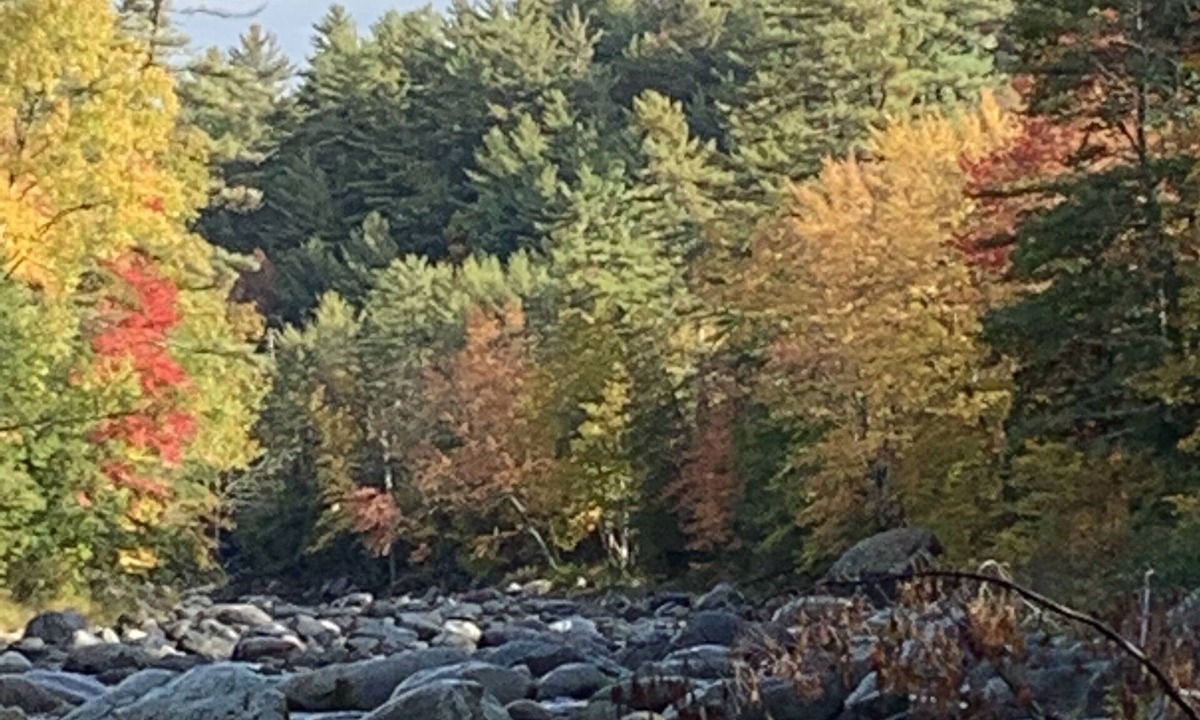 North Pole House | Summer Outdoor Retreat! Cozy Cabin on 5 Acres on Ausable River