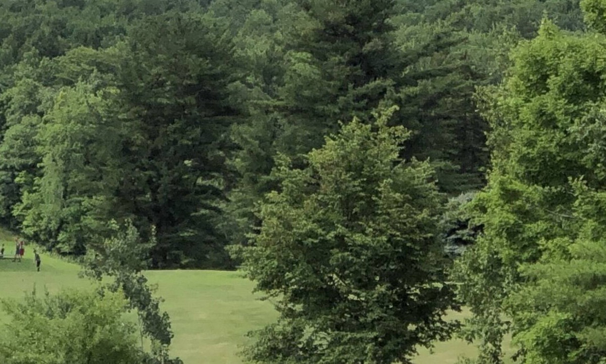 Sunapee House | Sunapee Townhome Has It All