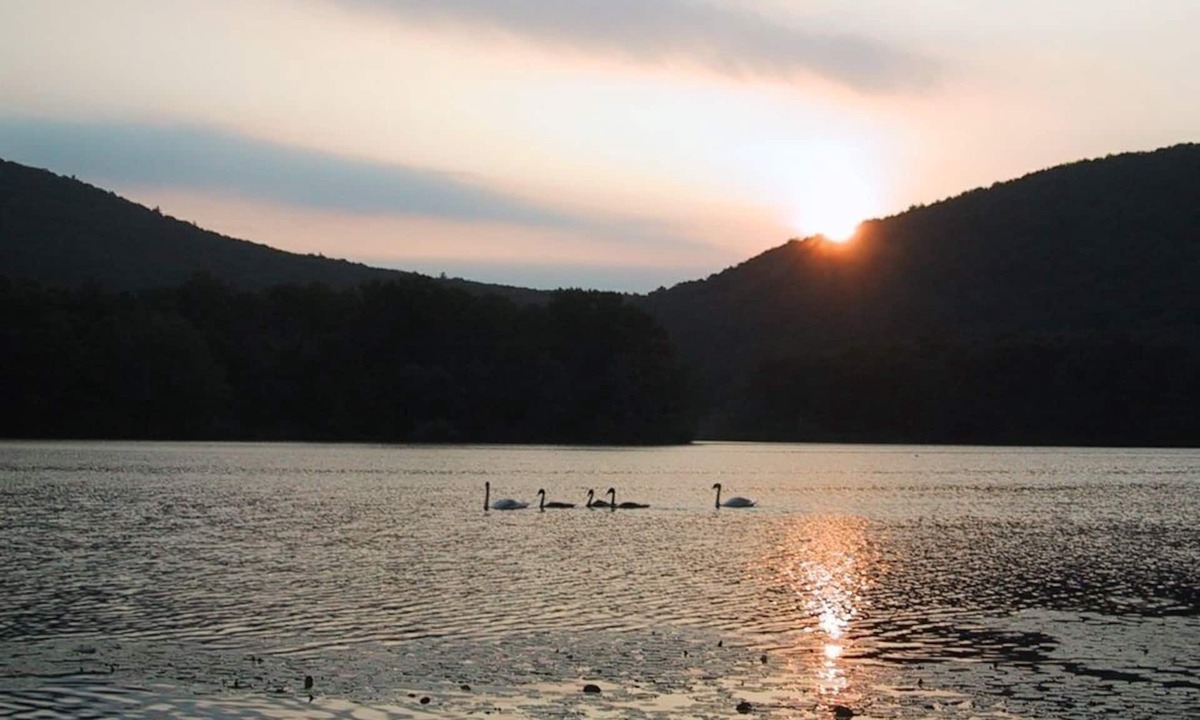 Pine Plains Cabin | Swim, kayak, hike, fish, ski and enjoy the countryside in this rustic cabin