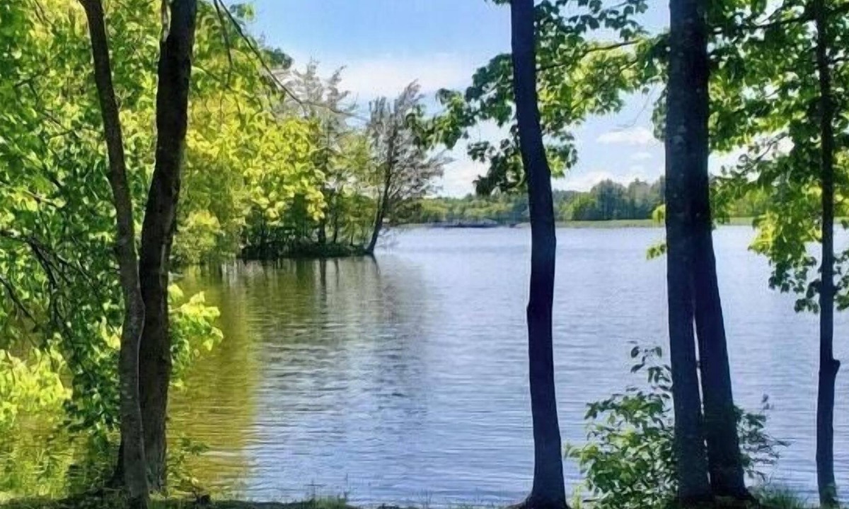 Auburn RV Rental | Tentrr Signature Site - Waters Edge @ Ewe Turn Farm
