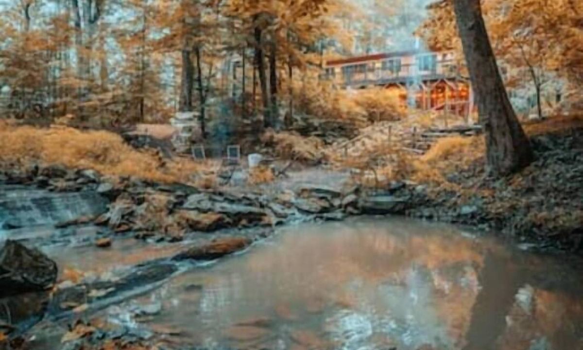 Kerhonkson Cabin | The Barn; Grateful Woods: fires, games, animals…