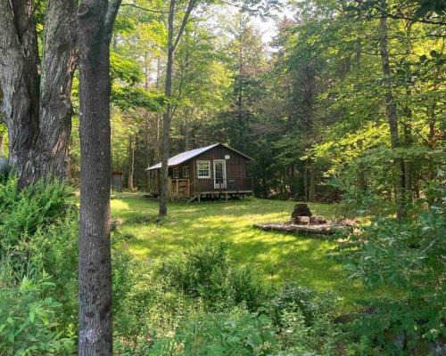 Rochester House | The Creek Cabin at Sky Hollow