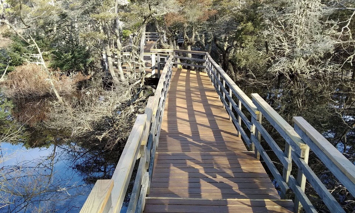 Wellfleet Cabin | The Perfect Getaway in Wellfleet