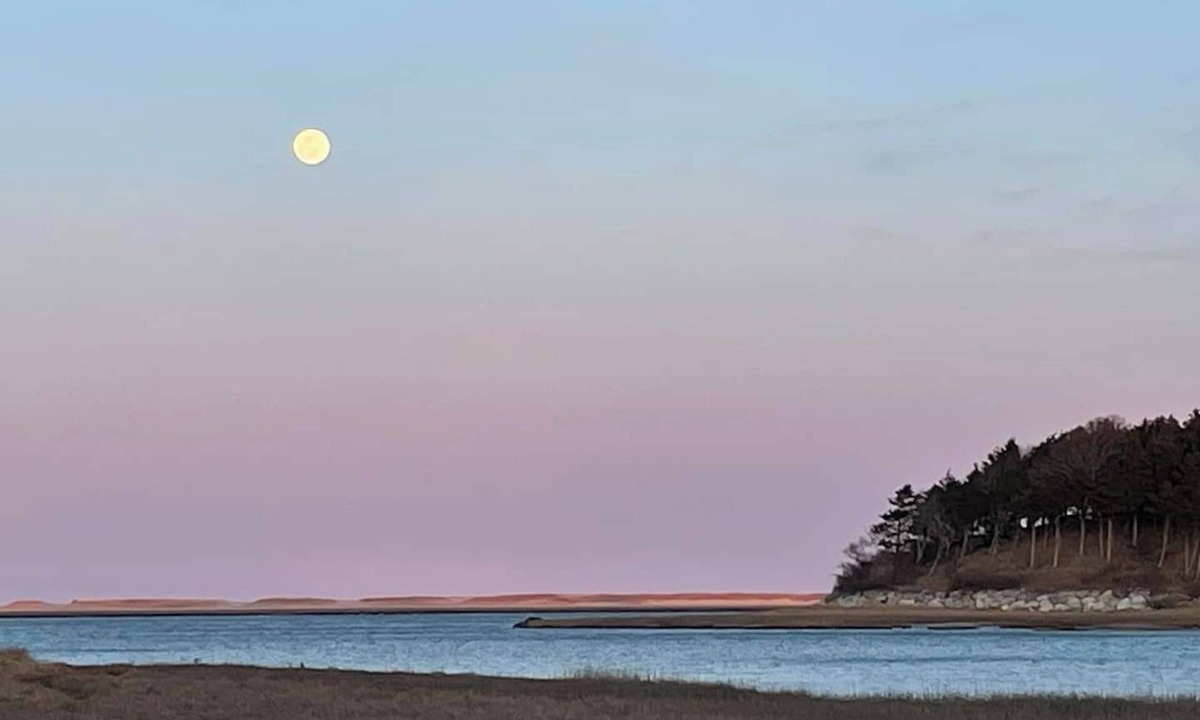 Eastham House | The Pet-Friendly Surf Shack Hideaway on the Cove